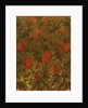 Wallpaper by Walter Crane