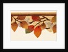 Design of a border of leaves and berries in autumnal colours by Unknown