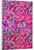 Wallpaper with a rhododendron pattern by Albert Griffiths