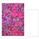 Wallpaper with a rhododendron pattern by Albert Griffiths