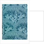 The Savaric by Anonymous