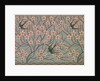 Wallpaper by Walter Crane