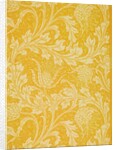 Wallpaper by Walter Crane