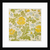 Wallpaper by Charlotte Horne Spiers