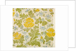 Wallpaper by Charlotte Horne Spiers