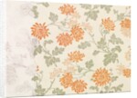 Wallpaper by Charlotte Horne Spiers