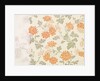 Wallpaper by Charlotte Horne Spiers