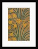 Wallpaper of Lily pattern by Walter Crane