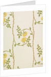 The Rosamund Decoration wallpaper by Walter Crane