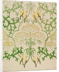 Fool's Parsley wallpaper design by Charles Francis Annesley Voysey