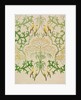 Fool's Parsley wallpaper design by Charles Francis Annesley Voysey