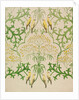 Fool's Parsley wallpaper design by Charles Francis Annesley Voysey