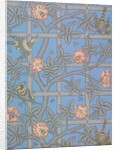 Wallpaper by William Morris
