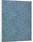 Marigold by William Morris