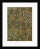 Vine wallpaper by William Morris