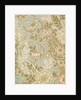 Wallpaper by William Morris