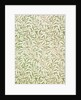 Willow Bough wallpaper by William Morris