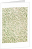 Willow Bough wallpaper by William Morris