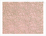 Pattern from a collection of 214 specimens of ornamental paper used for books and other decorative purposes by Unknown