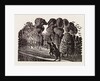 Illustration by Eric Ravilious
