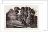 Illustration by Eric Ravilious