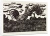Chanticleer by Eric Ravilious