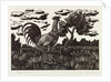 Chanticleer by Eric Ravilious