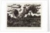 Chanticleer by Eric Ravilious