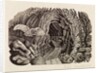 Illustration by Eric Ravilious