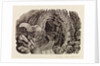 Illustration by Eric Ravilious