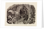Illustration by Eric Ravilious