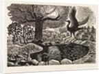 Illustration by Eric Ravilious