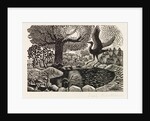 Illustration by Eric Ravilious