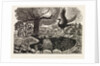 Illustration by Eric Ravilious
