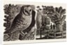 Illustration by Eric Ravilious