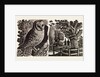 Illustration by Eric Ravilious