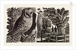 Illustration by Eric Ravilious