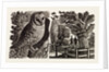 Illustration by Eric Ravilious