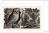 Illustration by Eric Ravilious