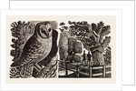 Illustration by Eric Ravilious