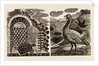 Illustration by Eric Ravilious