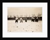 Entrainement des dames du Brussels Hockey Club dribbling by Andrew Pitcairn-Knowles