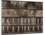Man walking and throwing discus by Eadweard Muybridge