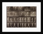 Man walking and throwing discus by Eadweard Muybridge