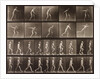 Man walking and throwing discus by Eadweard Muybridge