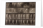 Man walking and throwing discus by Eadweard Muybridge
