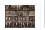 Man walking and throwing discus by Eadweard Muybridge