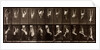 Man performing acrobatics by Eadweard Muybridge