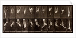 Man performing acrobatics by Eadweard Muybridge