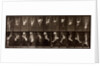 Man performing acrobatics by Eadweard Muybridge